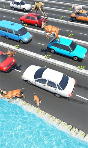 动物公路跳跃安卓版