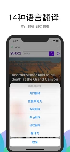 alook浏览器完整版截图3