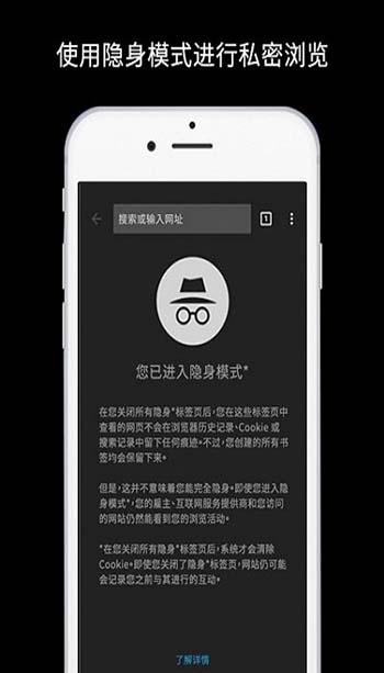 谷歌浏览器官方版截图2