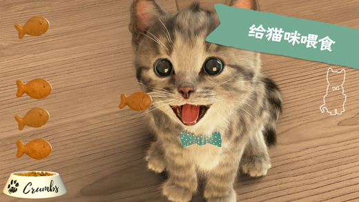 little kitten我最喜爱的猫猫iOS版