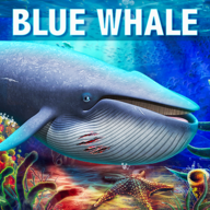 蓝鲸模拟器免费版