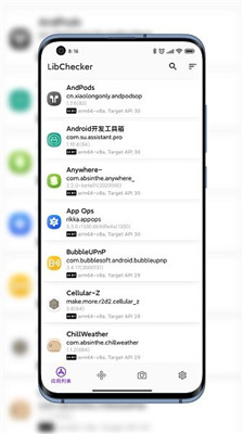libchecker手机版截图4
