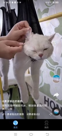 巅峰短剧高清版截图3