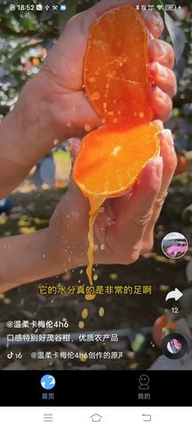 巅峰短剧高清版截图2