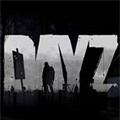 武装突袭2dayz清爽版