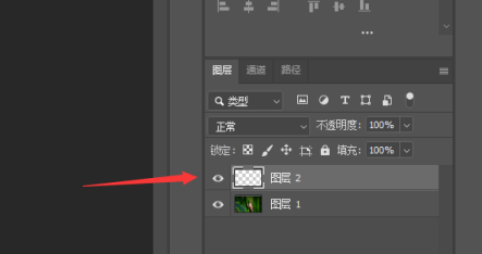 photoshop2020如何新建图层？photoshop2020新建图层的方法截图