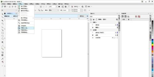 CorelDraw 2019如何页面大小应用到当前页？CorelDraw 2019页面大小应用到当前页的方法截图