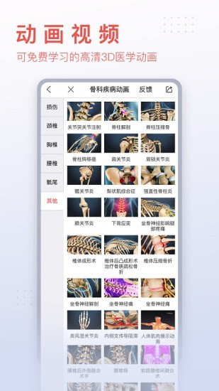 3Dbody艺用完整版截图5