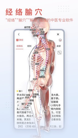 3Dbody艺用完整版截图2