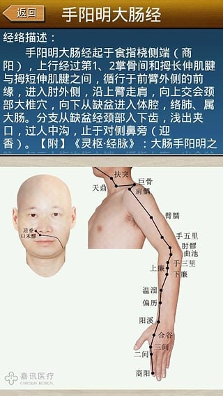 经络穴位图解手机版截图4