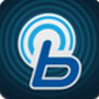 blueLink 完整版