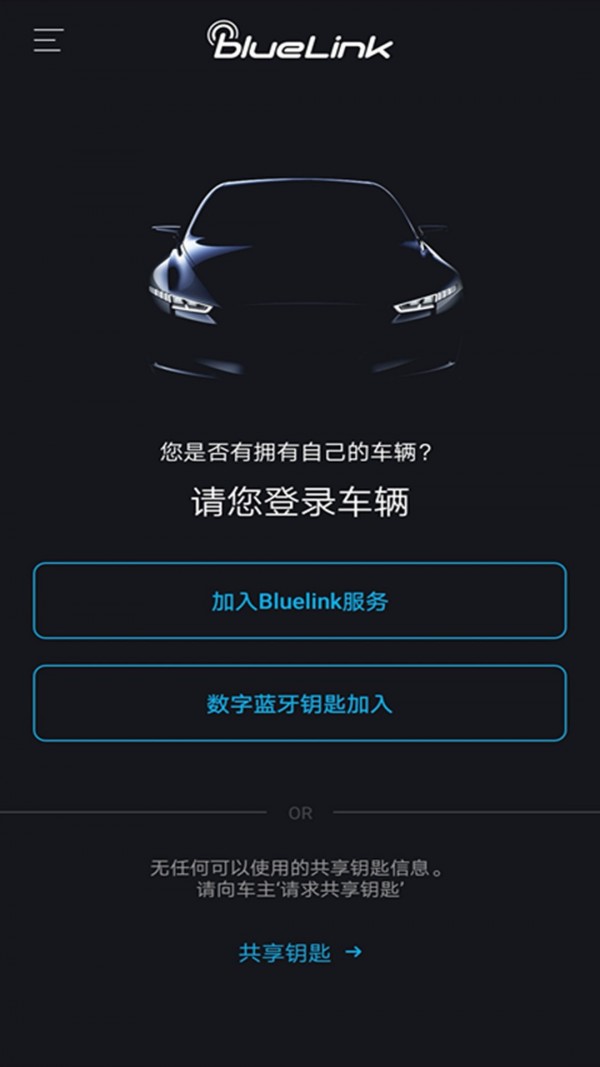 blueLink 完整版截图3