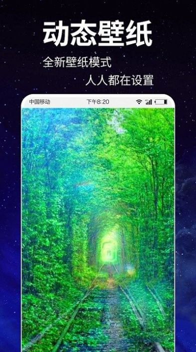 动态壁纸4k完整版截图3