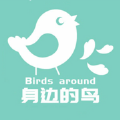 身边的鸟会员版
