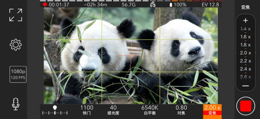 ProMovie相机ios完整版截图4