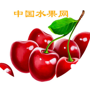 中国水果网ios手机版