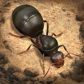 The Ants小小蚁国国际服版