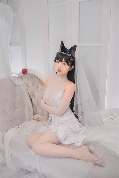 红楼直播免费版